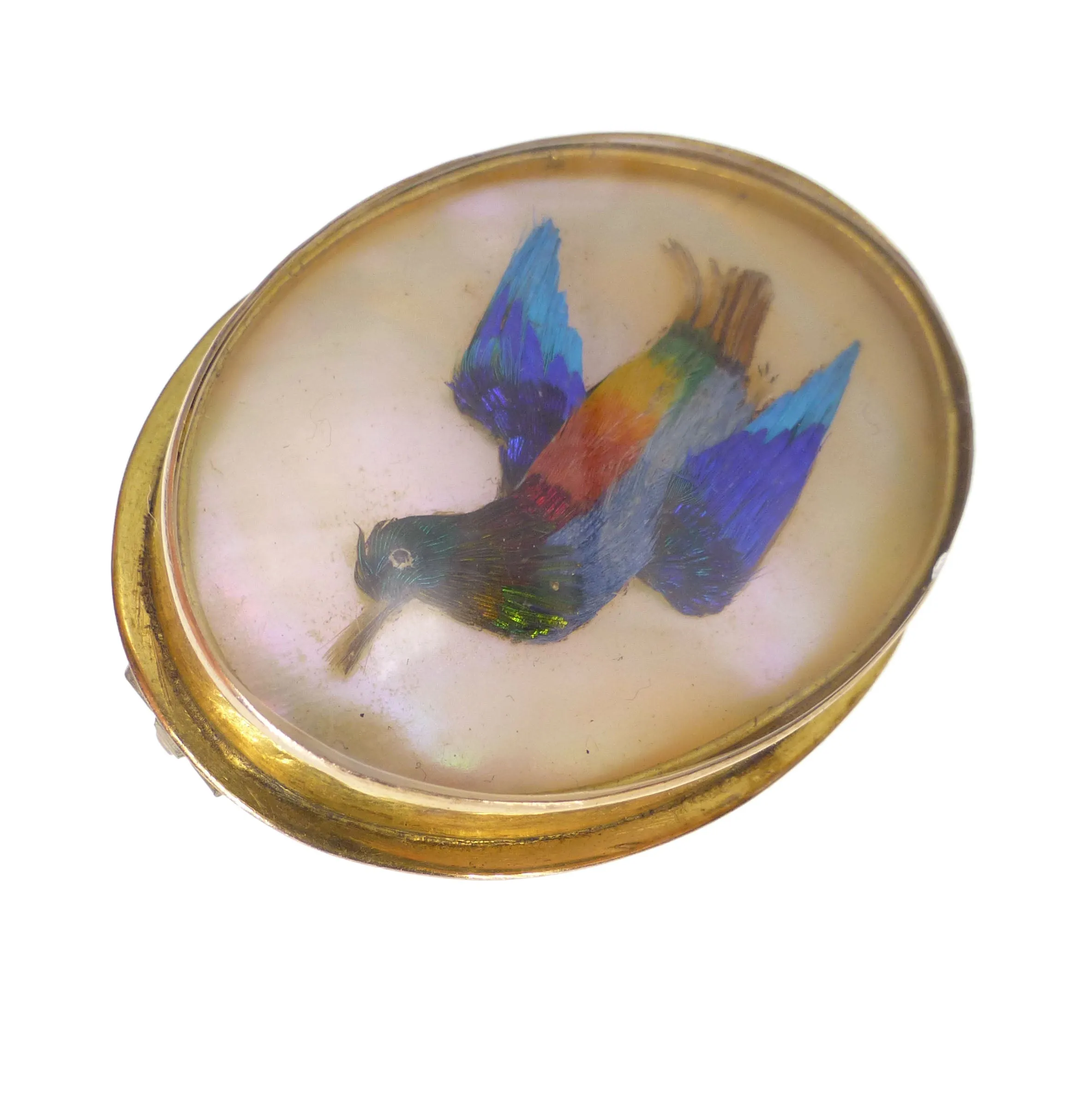 Antique Victorian 15ct Gold Hummingbird Feather Brooch