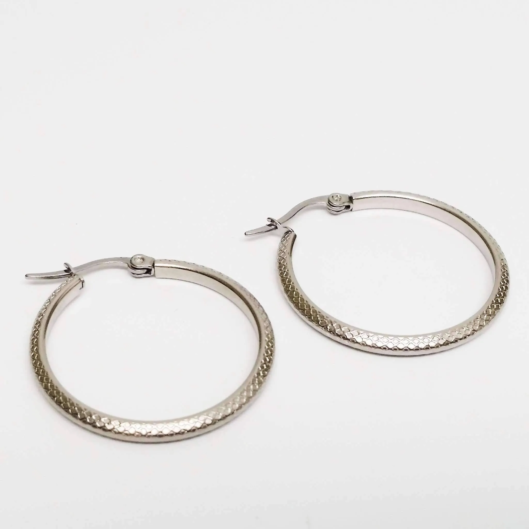 Art Nouveau Etched Stainless Steel 316 Hoop Earrings for Women Everyday Wear