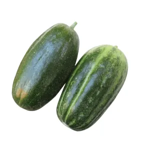 Cucumber Carosello Spuredda Leccese Seeds | Weston Seeds