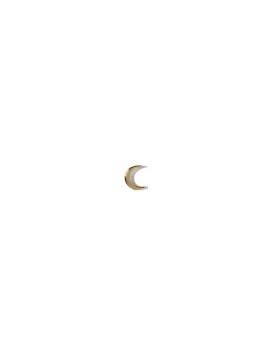 Mini Moon Earring <br> Gold Vermeil