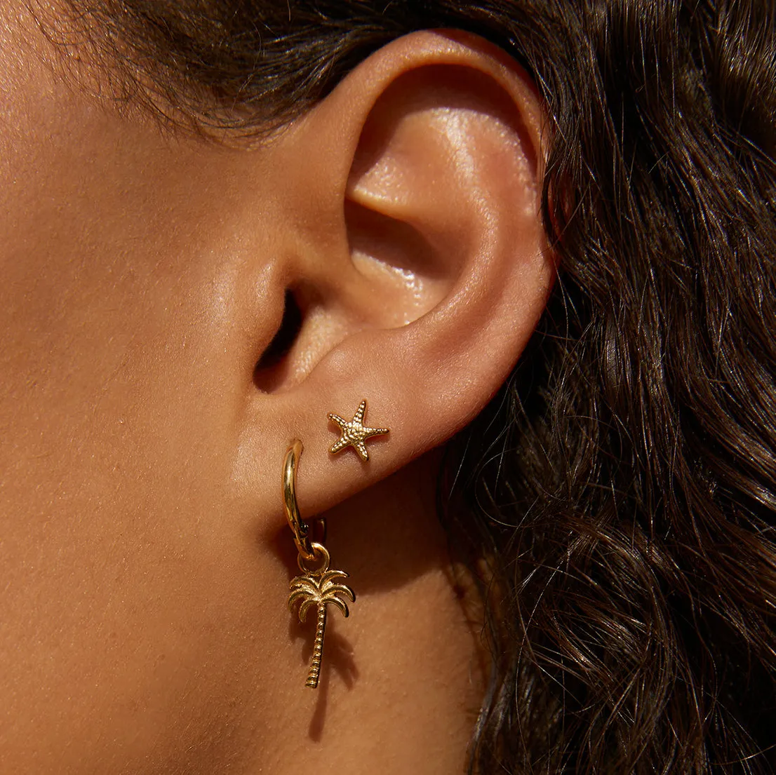 Starfish Gold Studs